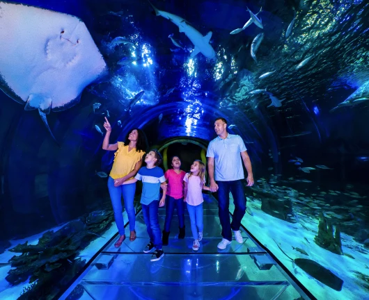 SEA LIFE Orlando Aquarium